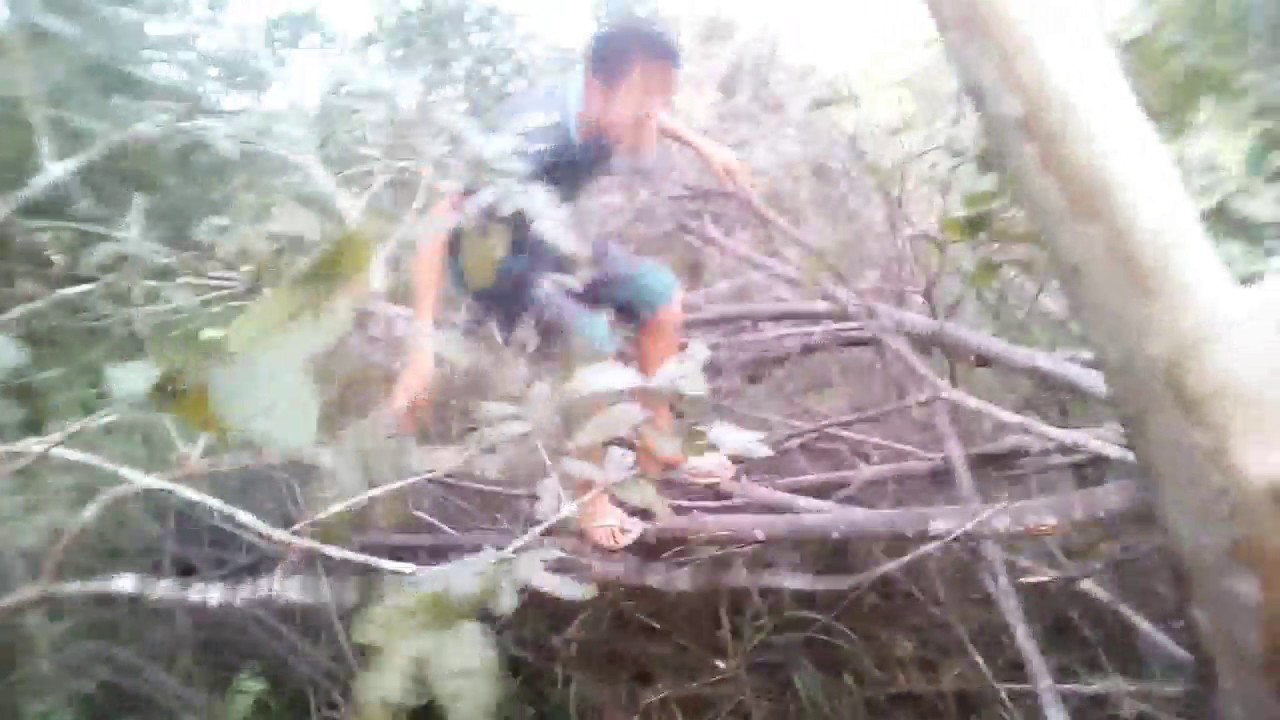 Aventuras na ro&ccedil;a