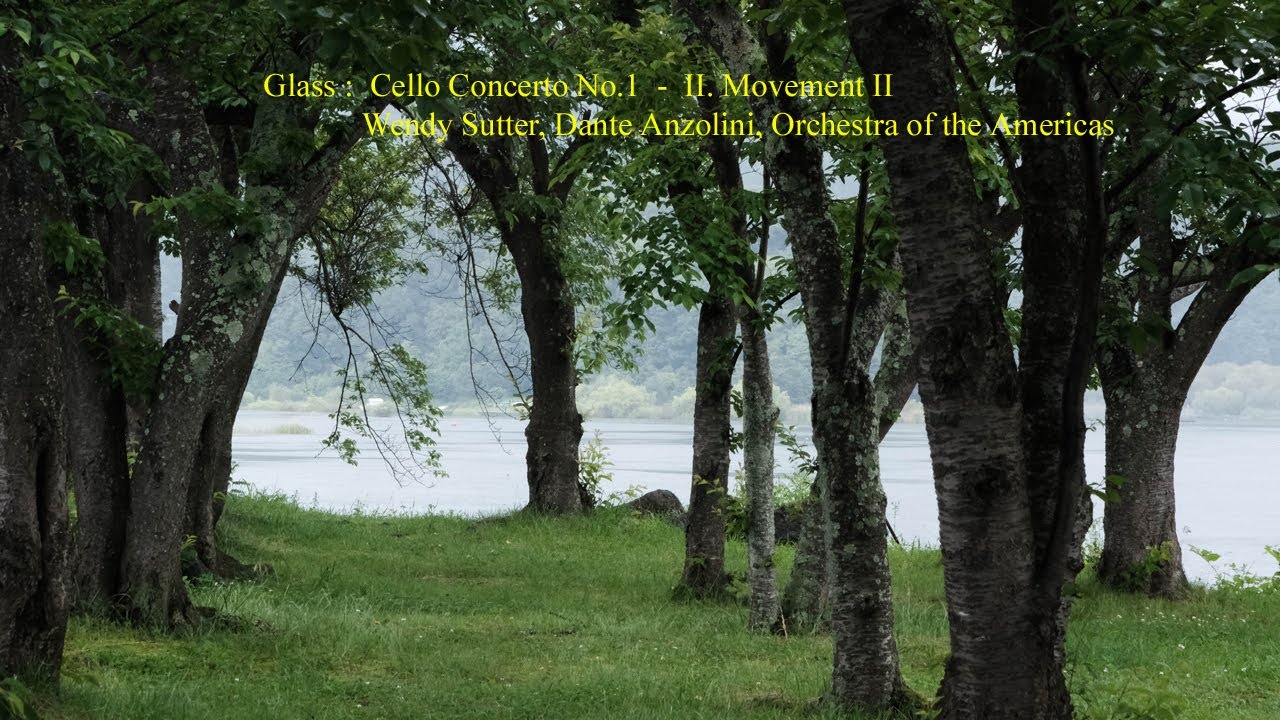 Glass : Cello Concerto No. 1  -  II. Movement II