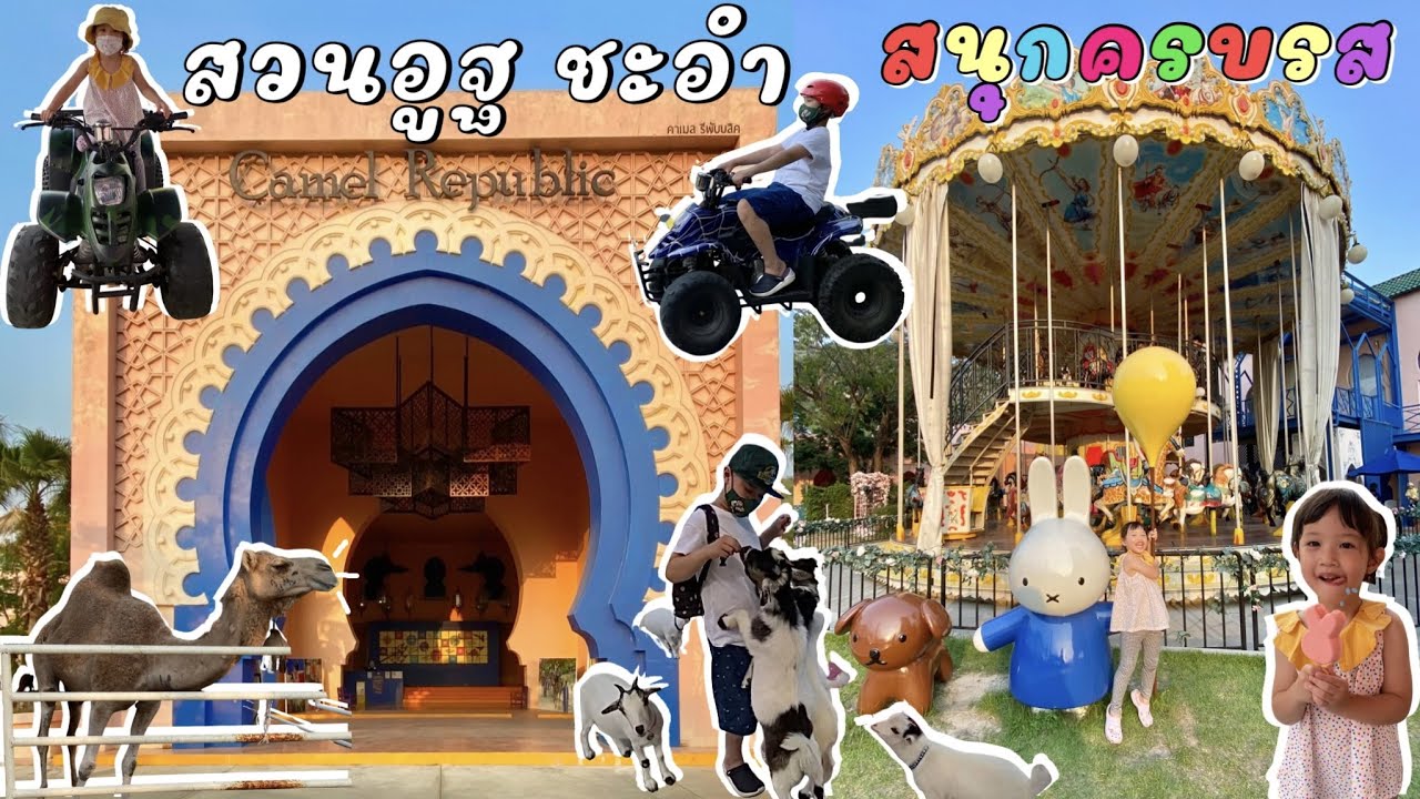 พาลูกเที่ยว Camel Republic สวนอูฐ ชะอำ | เลี้ยงสัตว์ | สวนสนุก | ขี่รถ Mini ATV |กิจกรรมเยอะ ลูกสนุก