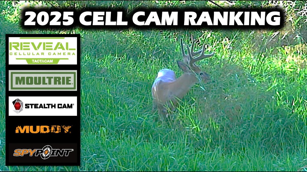My 2025 Cellular Trail Camera Ranking - Who Is #1?