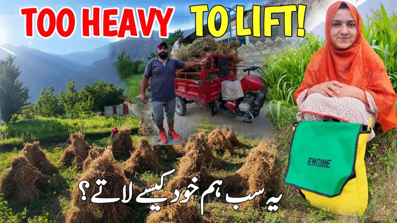 Too Heavy to Carry! This is How Village Farmers Transport Grass | Real Rural Farming | Village Vlog