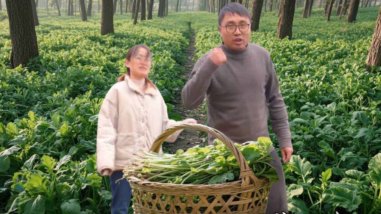 姊妹想吃地米菜，冬宝带着就上山挖，回来和腊肉一起炒，太好吃了！#农村生活#美食分享