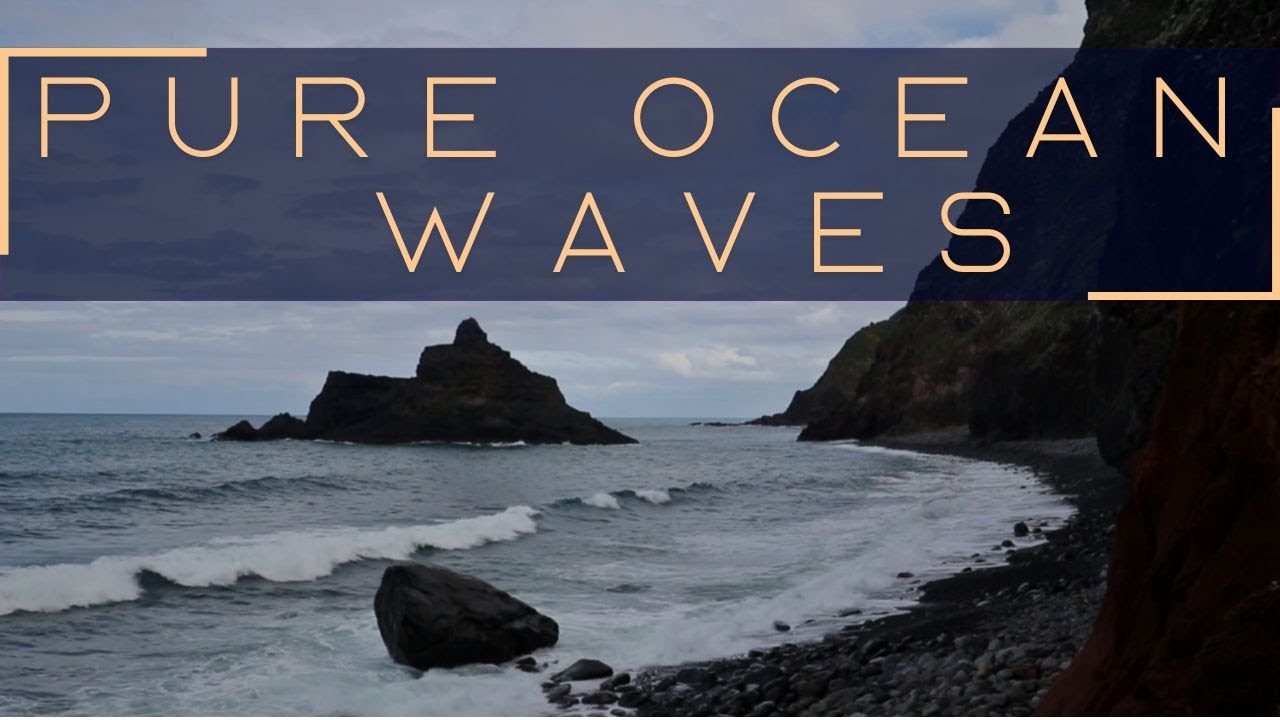 Pure Sound Of The Ocean Waves l 8H Deep Sleep l Black Screen after 30min - Sunflowers Sleep 5