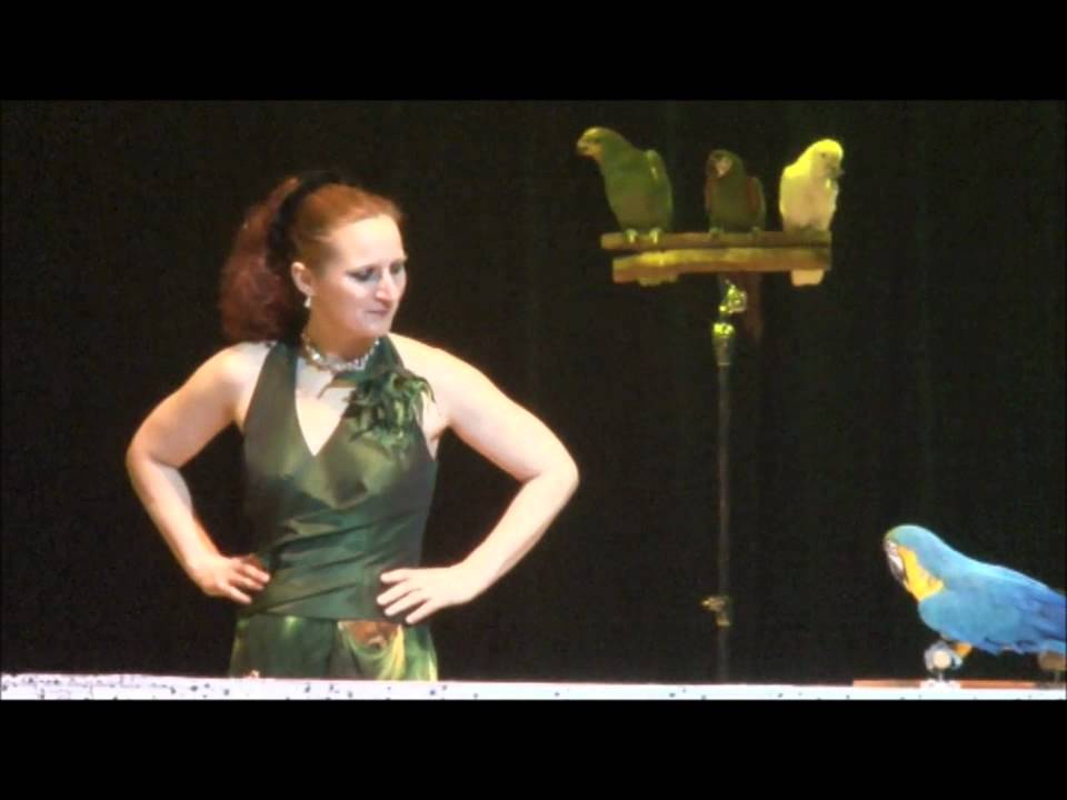 Rafaela parrots