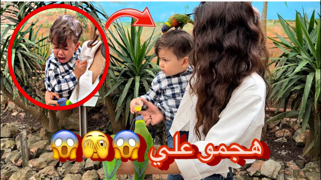 ماتوقعت يصير هيك 😱😭😱