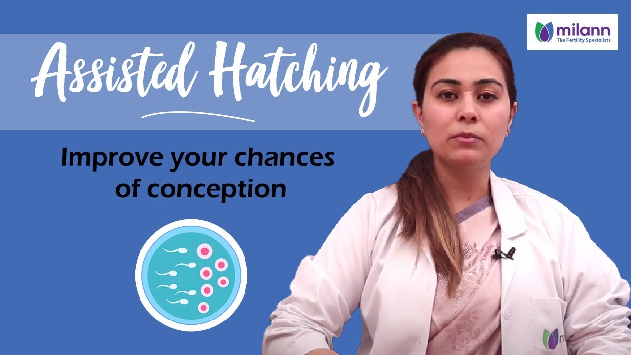 Assisted Hatching- Types, Procedure, Pros and Cons|Milann-Laimaa Fertility Clinic