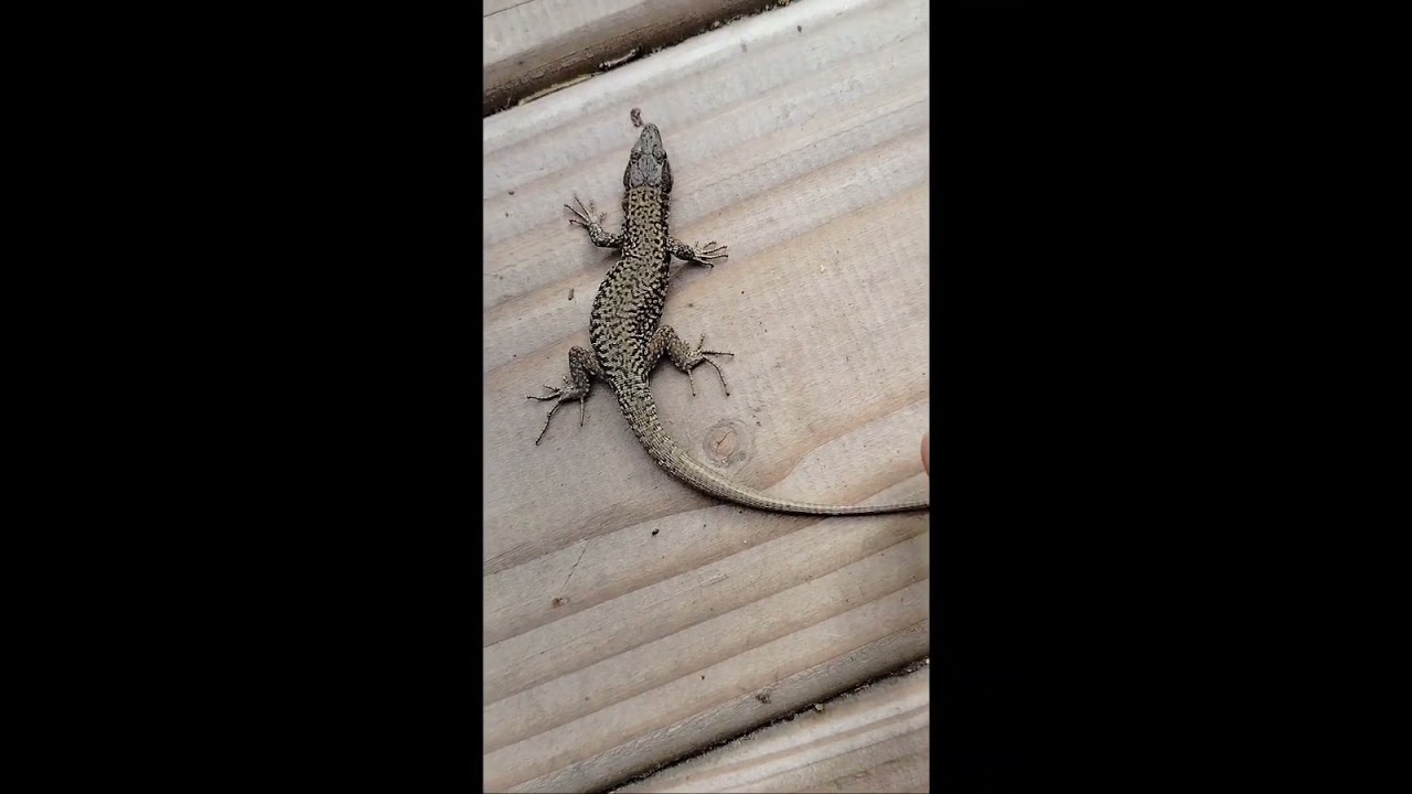 Ca date de quand c'était bien