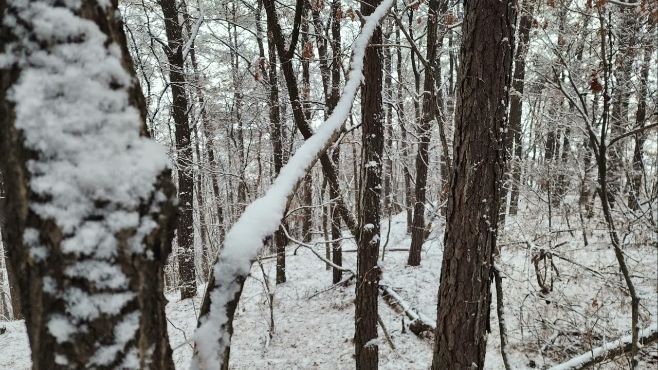 슬퍼하지 마 / 여정인