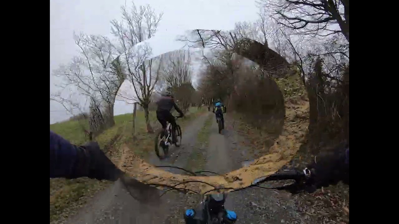 VTT