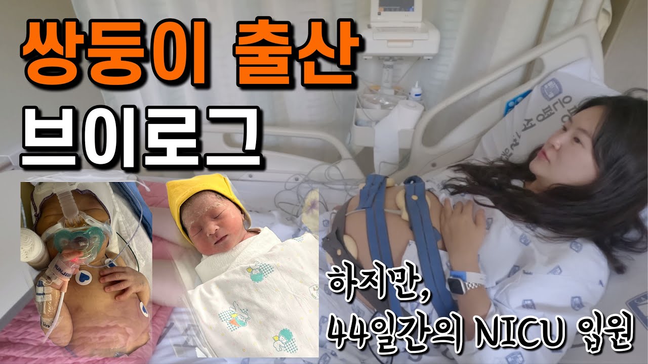 36주 2일차 남녀 쌍둥이 출산 | 대학병원 제왕절개 | 서울 은평성모병원 | 신생아중환자실 NICU 입원