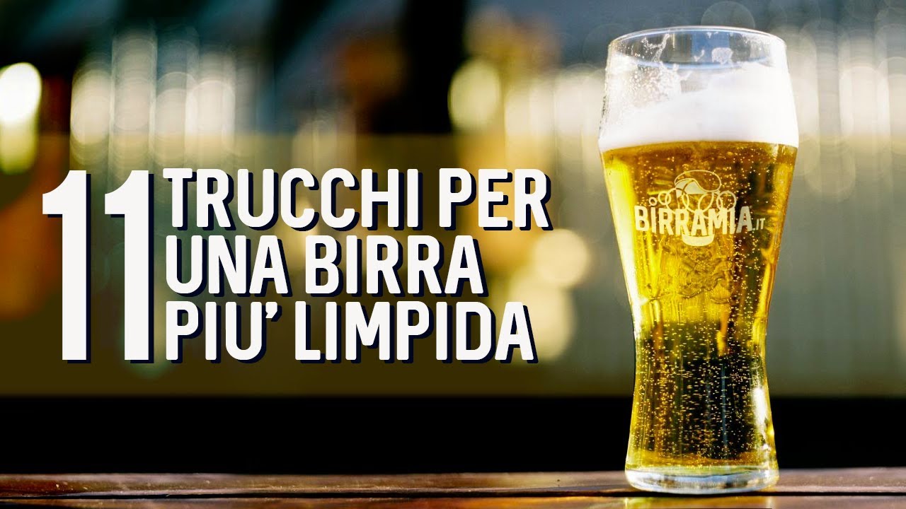 11 Trucchi per una birra più limpida | Birramia 🍺