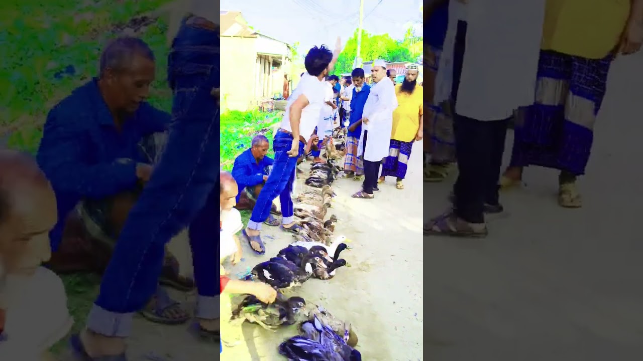 50 funny videos together🙀🙆‍♂️😁🤣#viral #comedy #trending #india 
