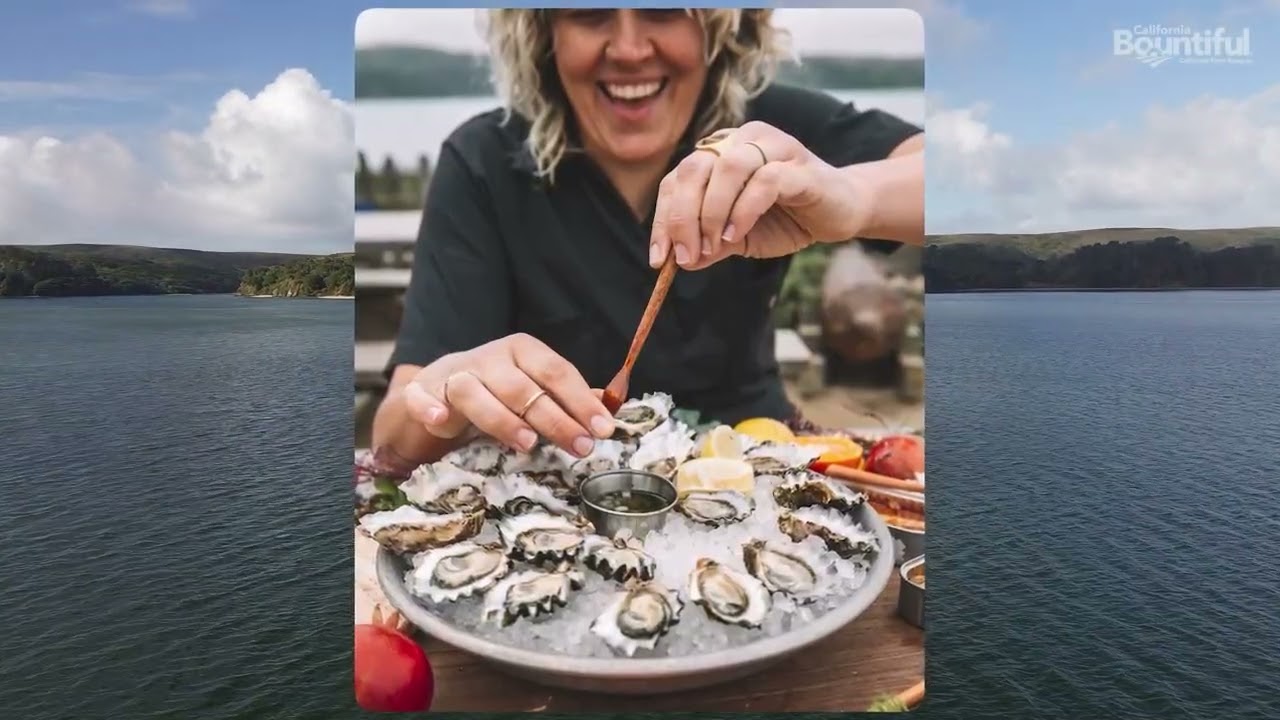 Oysters Fresh off the California Coast