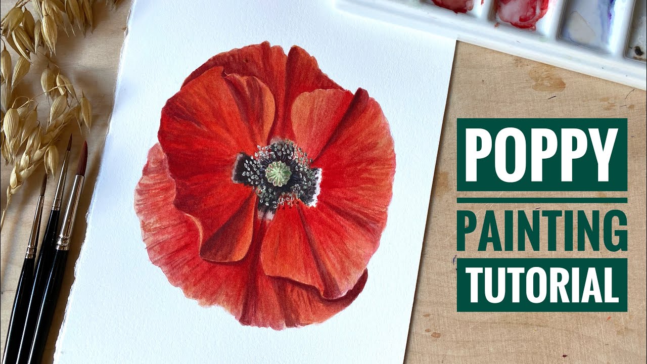 Red poppy Step by Step watercolor painting | Realistic Poppy Painting
