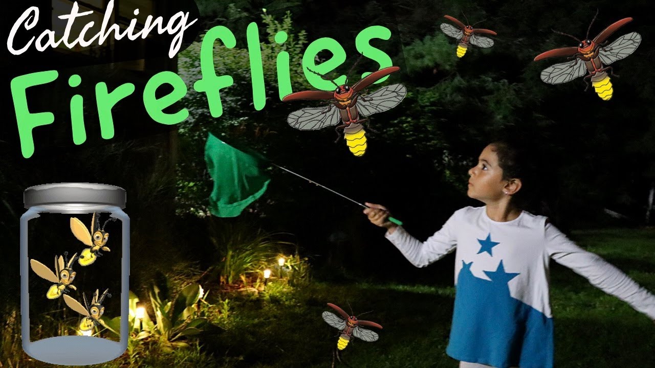 HOW (not) TO CATCH FIREFLIES | SET THEM FREE FAST!!!