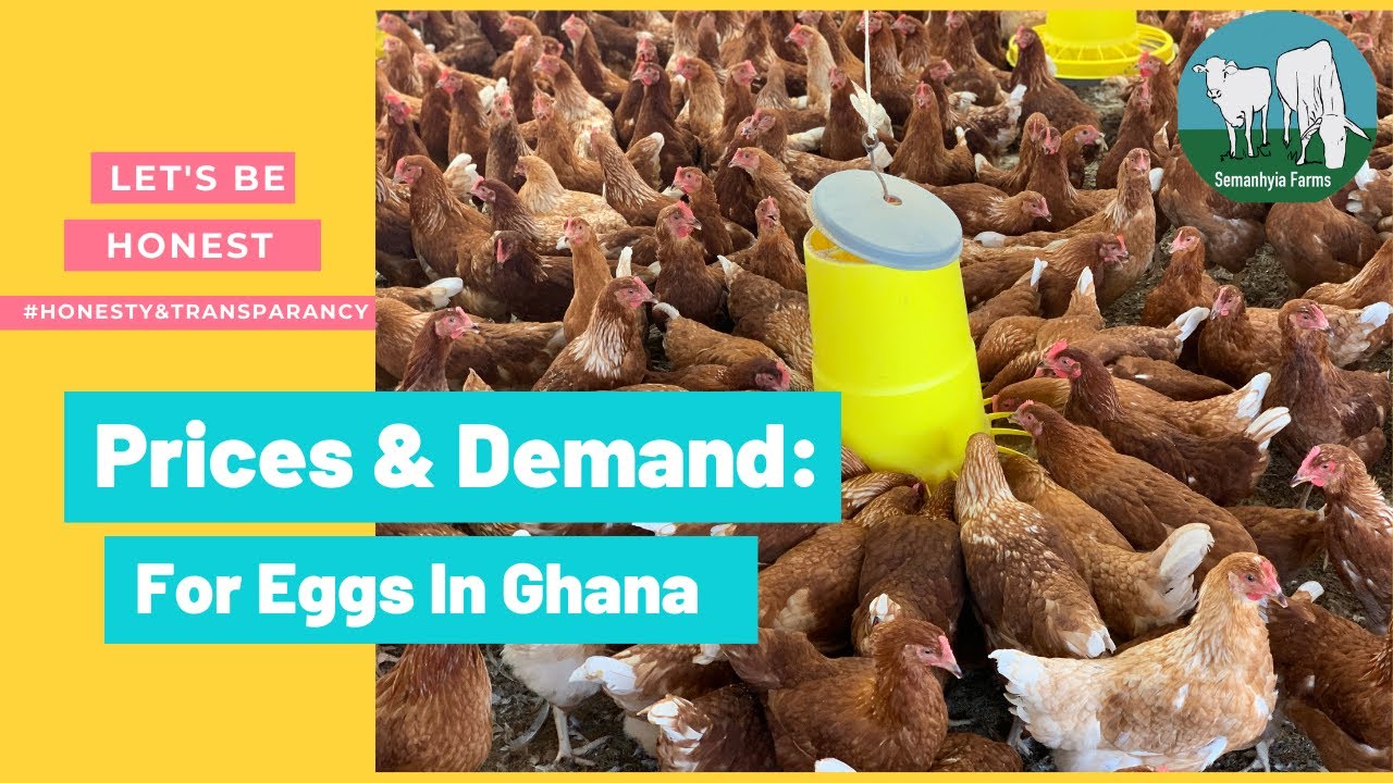 The Demand & Prices of EGGS in Ghana