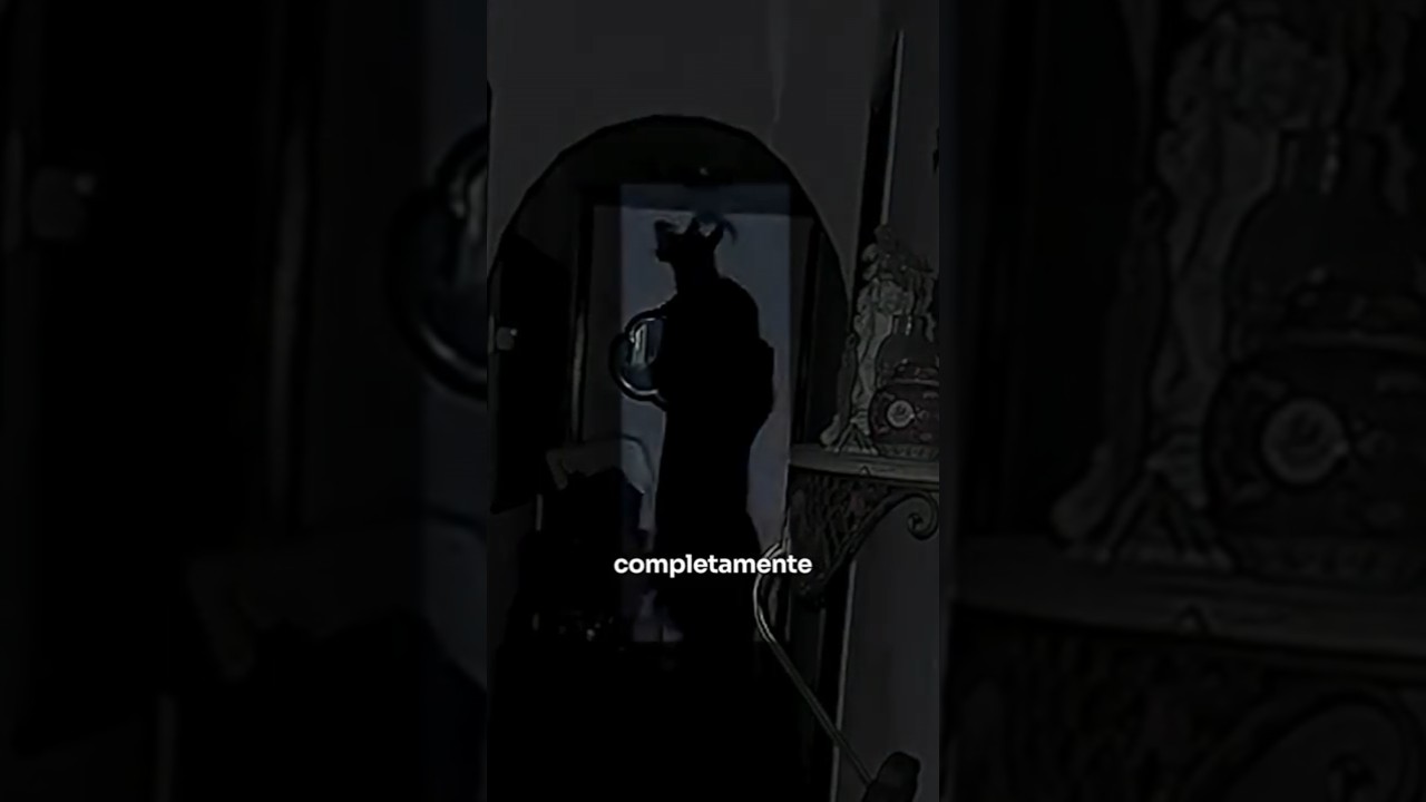 TEM UM DEM&Ocirc;NIO NA MINHA CASA