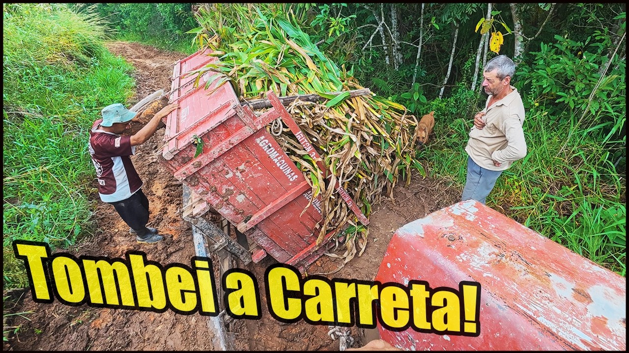 TOMBEI A CARRETA CARREGADA DE MILHO! ESTRADA MUITO LISA COM VALETAS! MASSEY FERGUSON 85 TURBO!