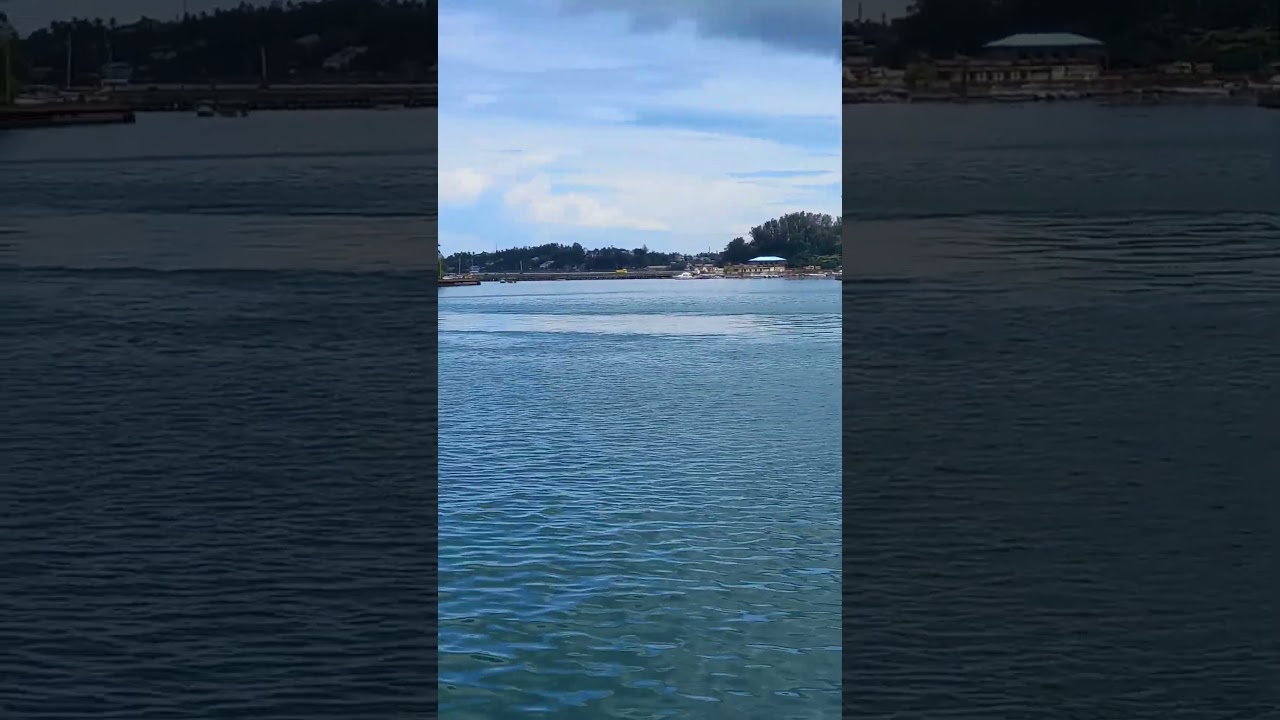 Tiny Island's Wharf connected with Bridge to Main Island #islandbridge #islandproject #harbourisland