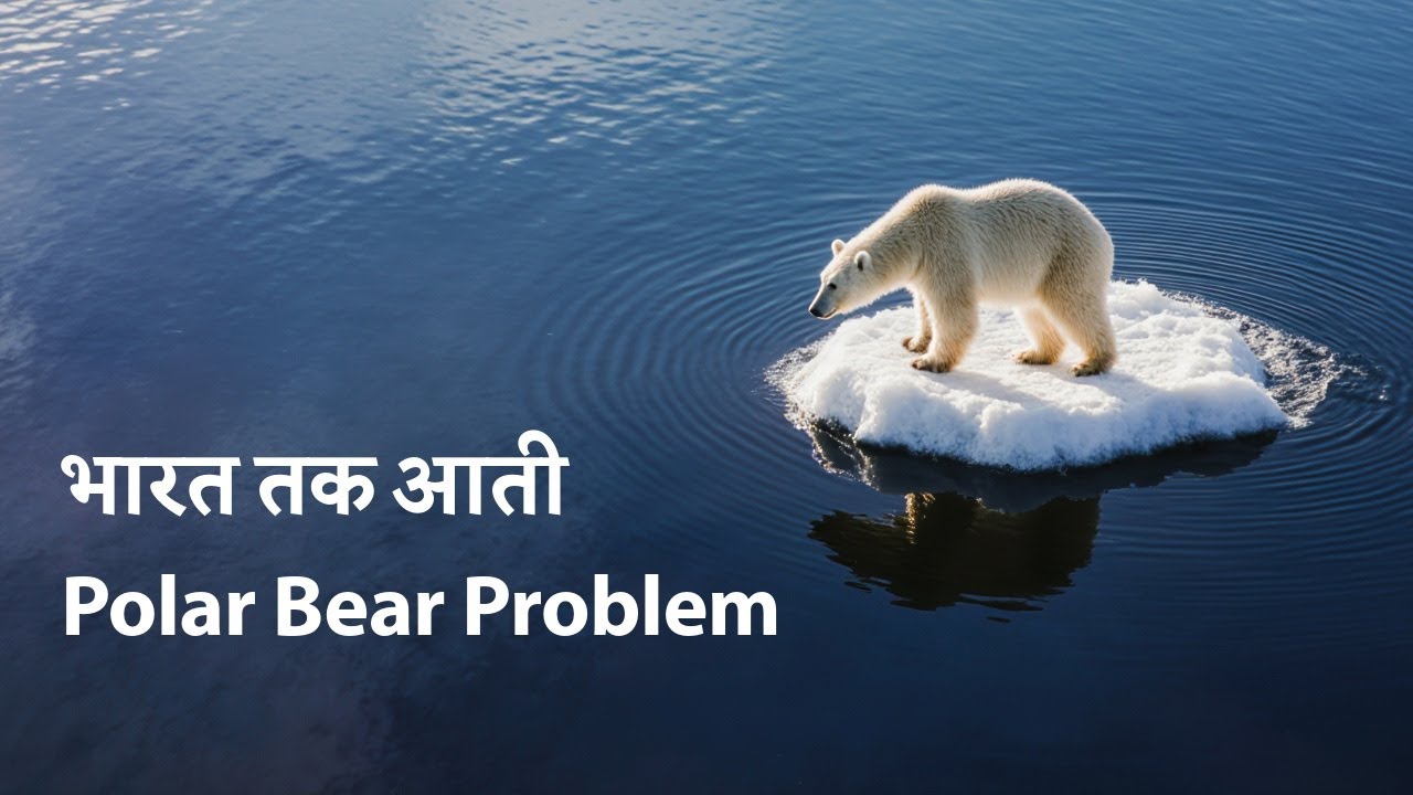 Why Polar Bears and the Arctic Matter for India | Pin N Post |