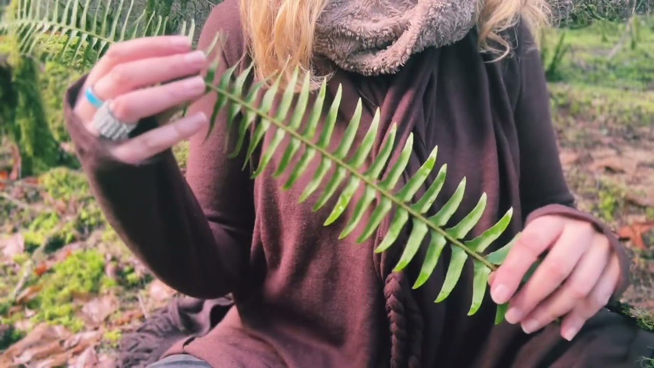 mossy forest therapy letting go of stress 
