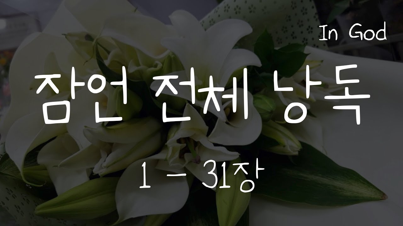 [In God] 잠언 전체 낭독  #성경듣기66권 #성경낭독하는 남자 #개역개정 #낮은배경음