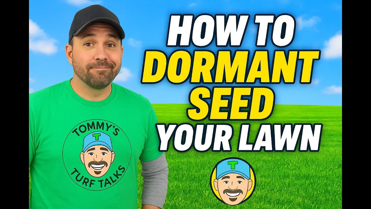 How to Dormant Seed Your Lawn