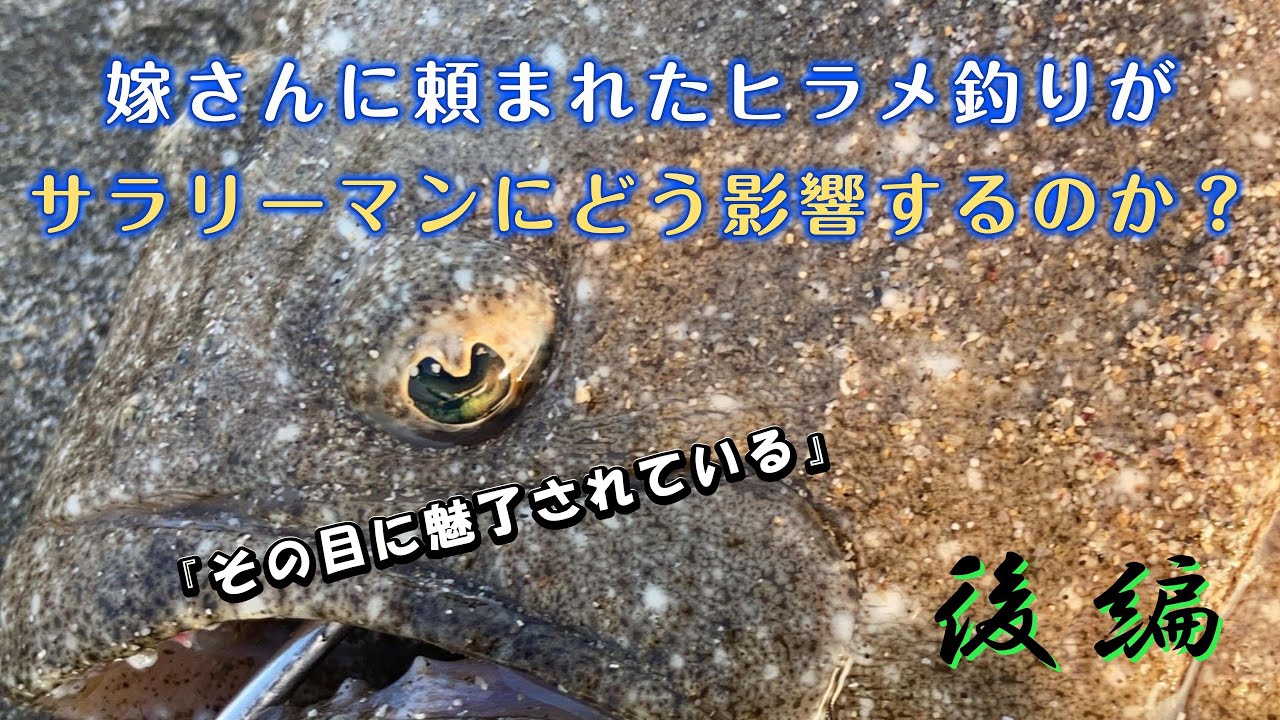 【サーフフィッシング】指令！ヒラメ一匹を確保せよ。後編
