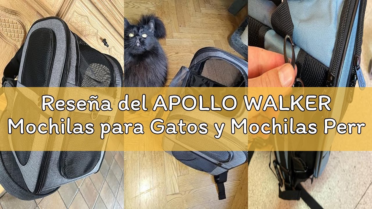 Reseña del APOLLO WALKER Mochilas para Gatos y Mochilas Perros, para Mascotas Gato Pequeñas (Capacid