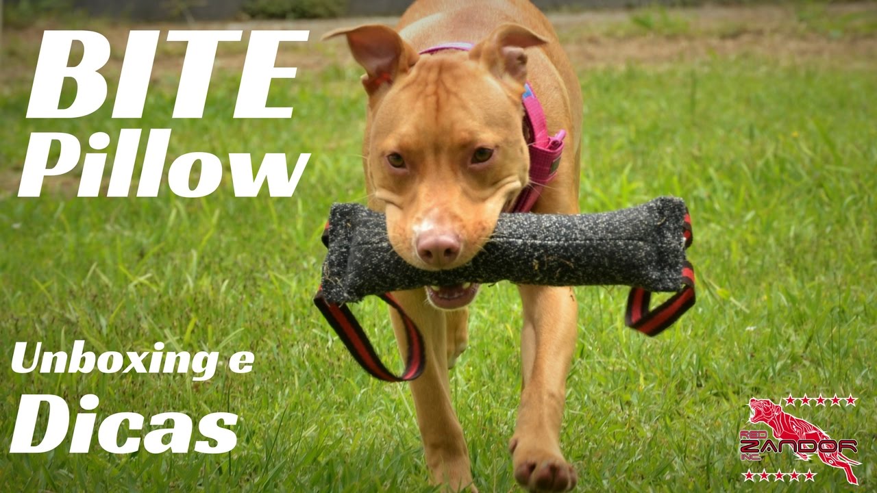 Bite Pillow - Unboxing e Dicas