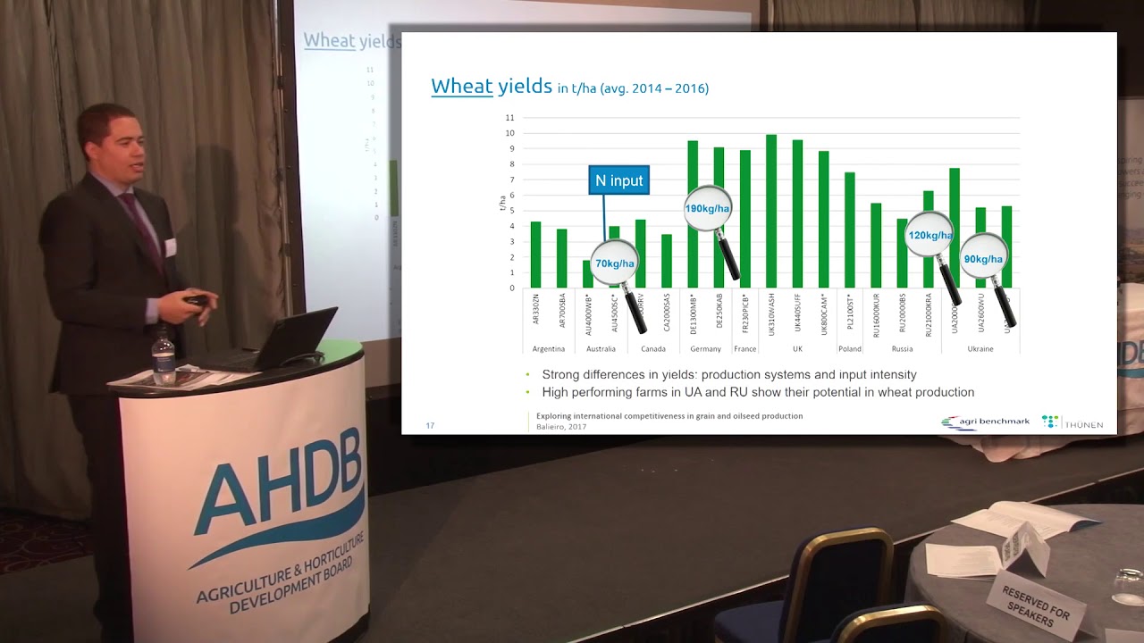 Measuring international competitiveness in cereals and oilseeds