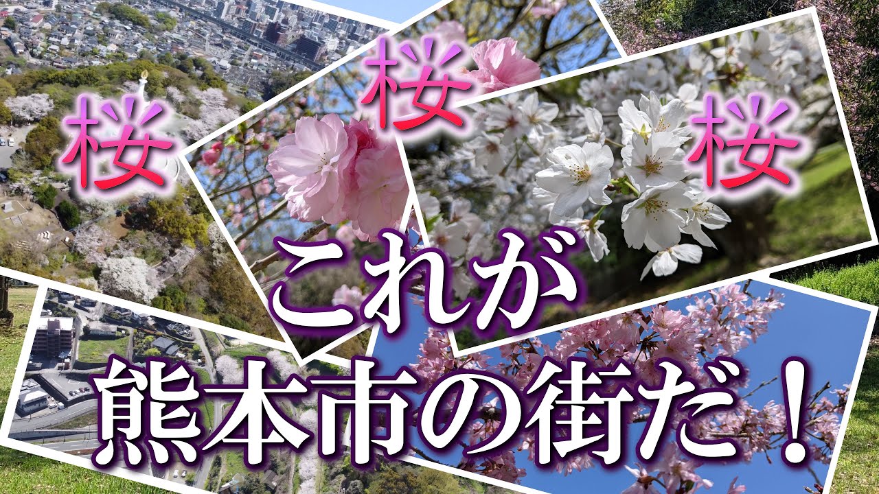 【熊本】万日山と花岡山の桜　編　（ Vol.376 ）／熊本駅周辺の桜の名所を空から見てみよう！【4K空撮】