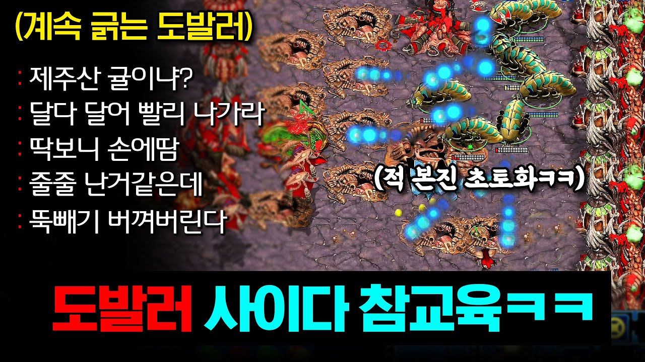 【 도발러 참교육 】 30분이 아깝지 않은 사이다 참교육 갑니다ㅋㅋ 상대 반응 레전드ㅋㅋㅋㅋ