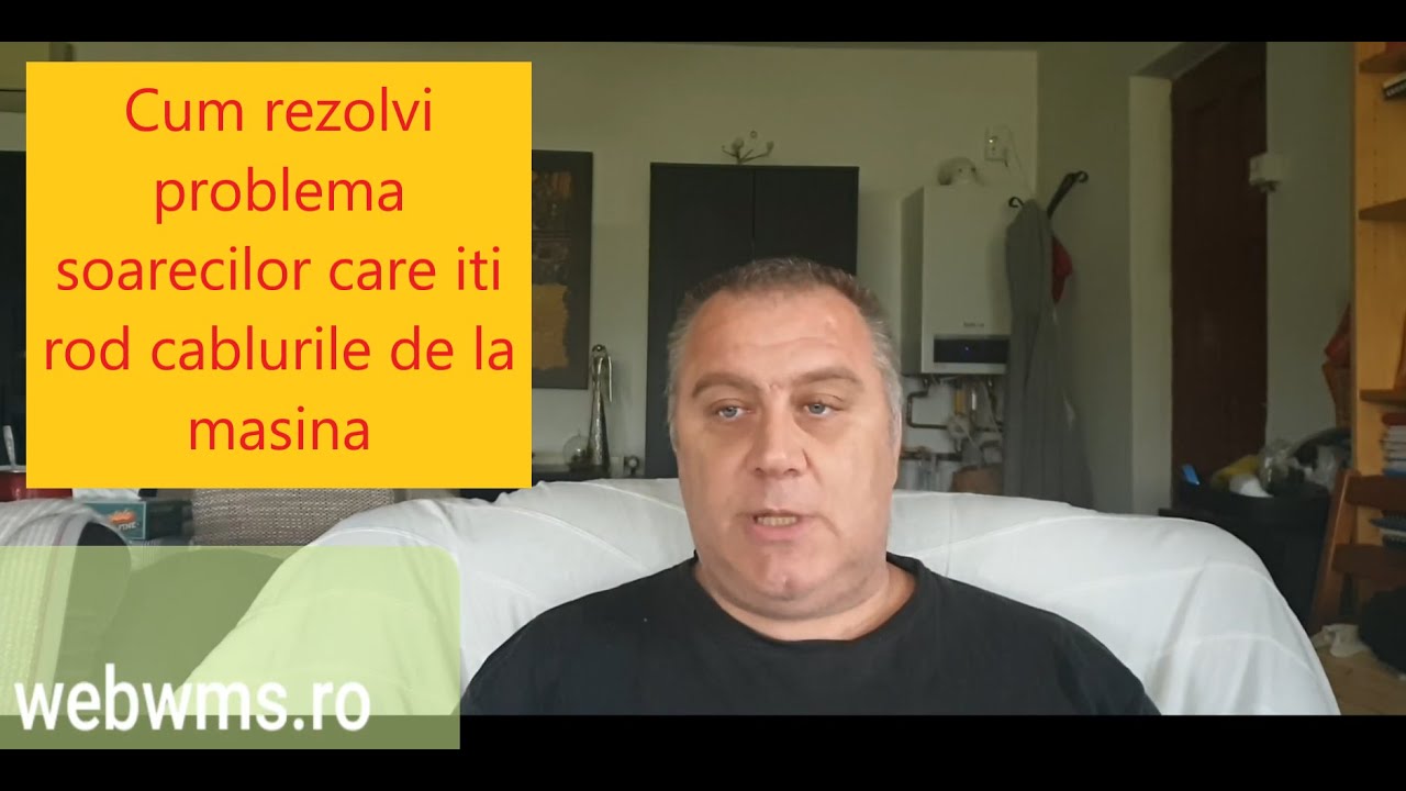 Cum rezolvi problema cablurilor roase de soareci la masina