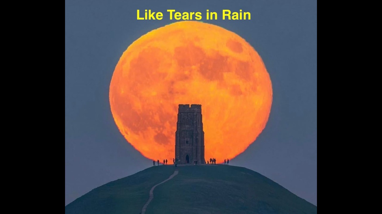 Like Tears in Rain