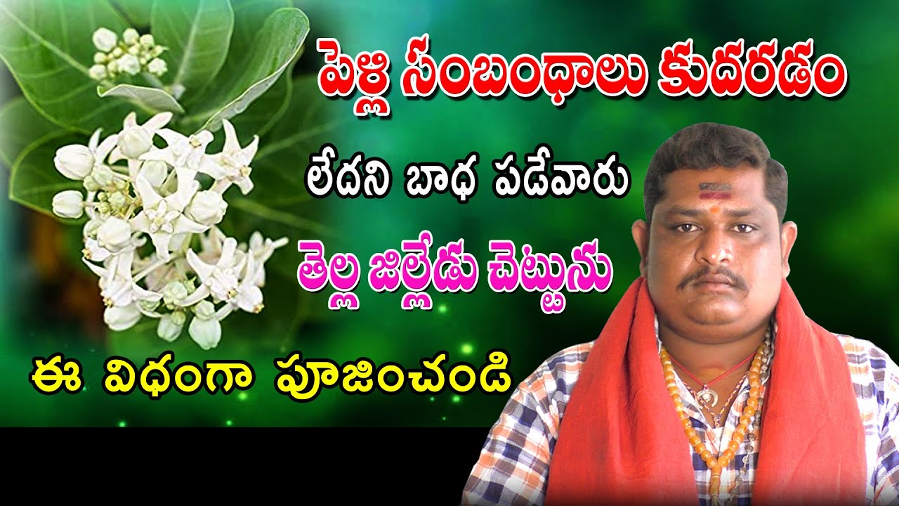 పెళ్లి సంబంధాలు కుదరడం లేదని బాధ పడేవారు తెల్ల జిల్లేడును ఈ విధంగా పూజించండి | Sameera Channel
