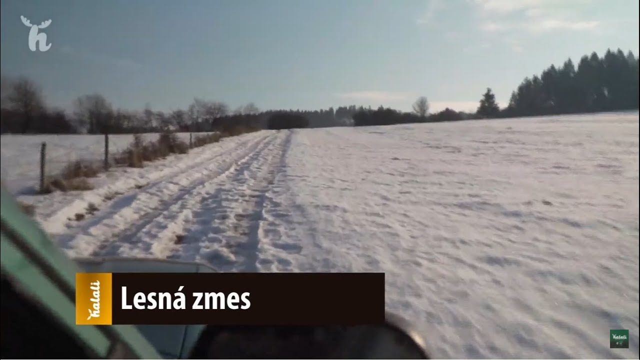 Lesná zmes