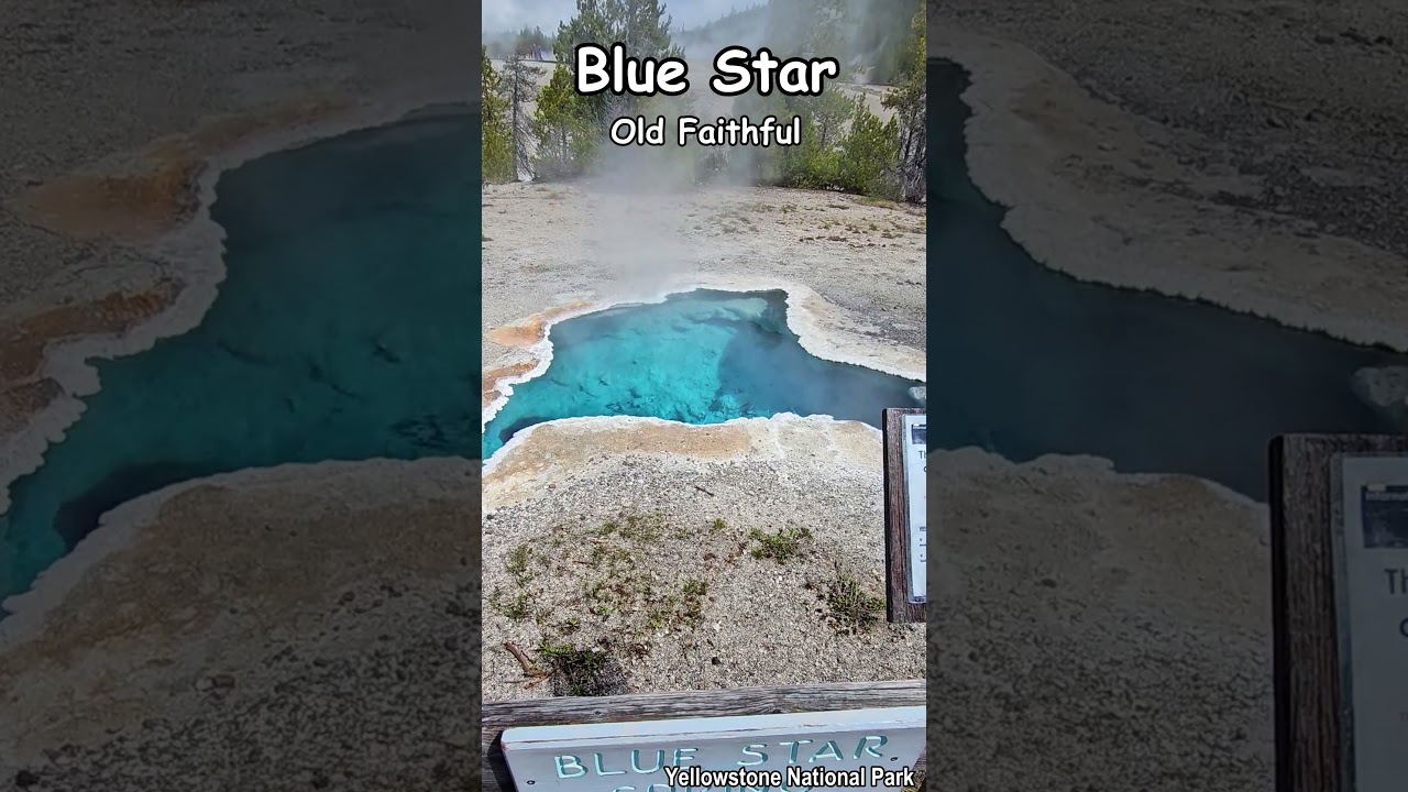 Blue Star Spring 🚙 Old Faithful | Yellowstone National Park | WY | US Road Trip