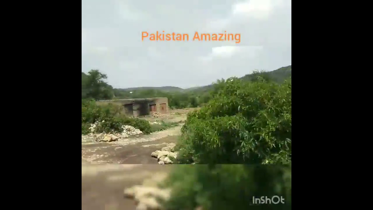 A beautiful view to a village Nali, Tehsil Choa Saiden Shah District Chakwal.
