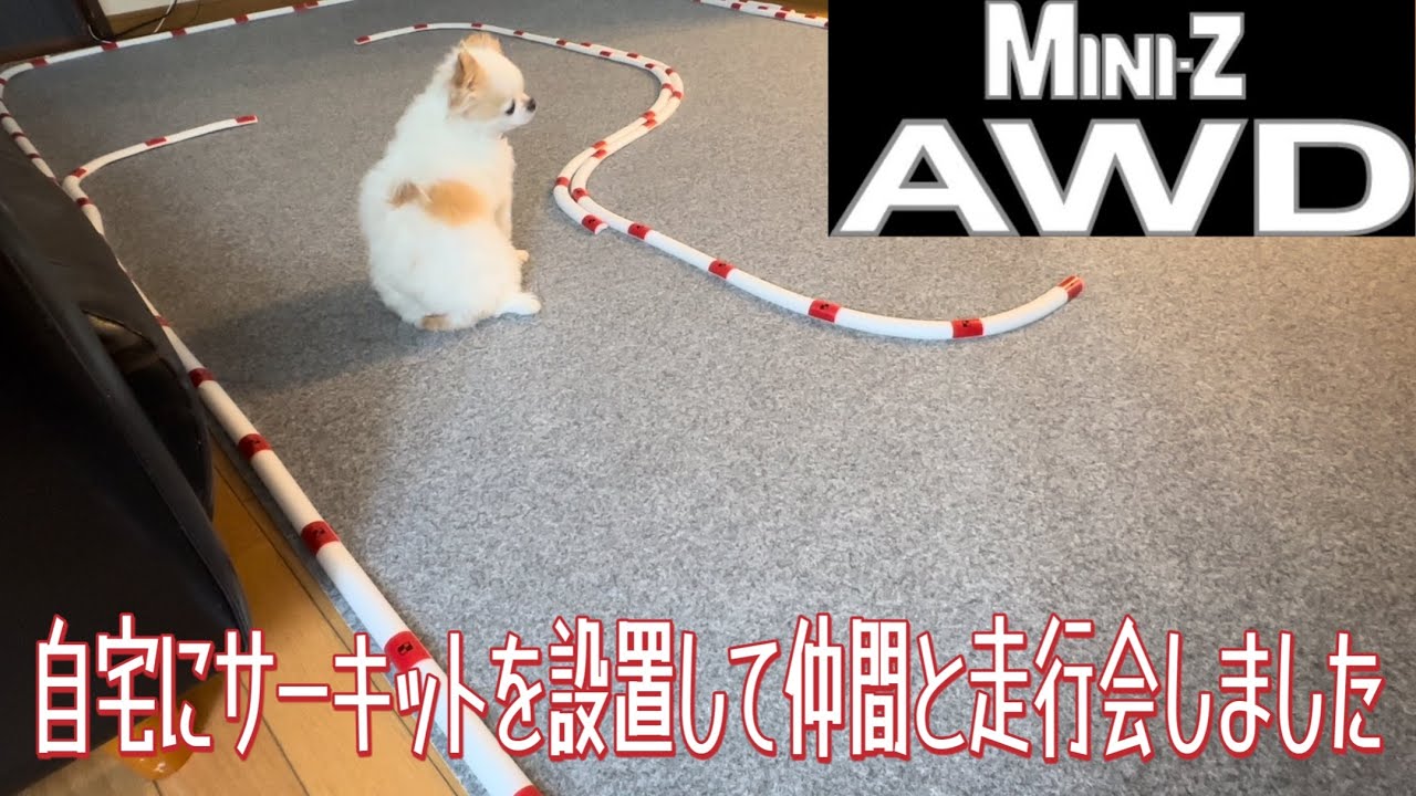 kyosho MINI-Z 自宅にサーキットを設置して仲間と走行会する動画 #kyoshominiz #miniz #ラジコンサーキット #ラジコン #ドリラジ #ミニッツ #ミニッツサーキット