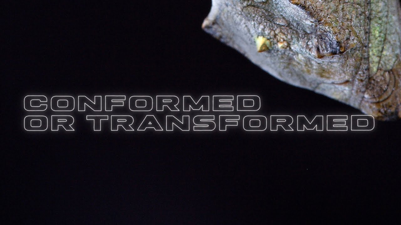 Conformed or Transformed | Katleho Mohale