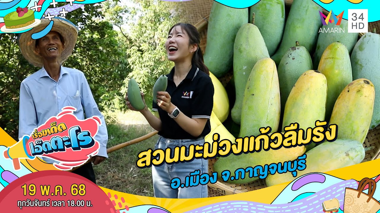 สวนมะม่วงแก้วลืมรัง อ.เมือง จ.กาญจนบุรี | เรื่องเด็ดเอ็ดตะโร | 19 พ.ค. 68 (3/4)