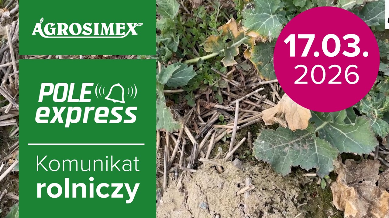 🌱Wiosenne herbicydy w rzepaku | Komunikat Rolniczy