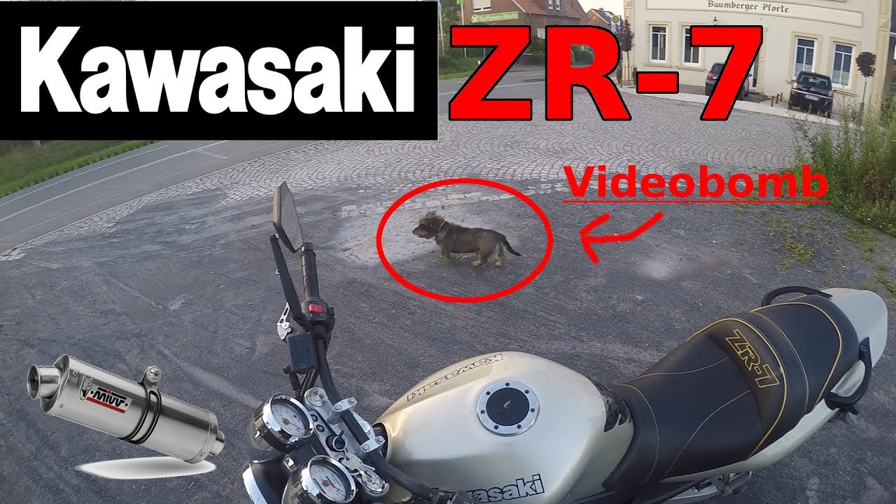 DACKEL TRIFFT AUF KAWASAKI ZR7 || Jannik Motovlog || MotoMünster