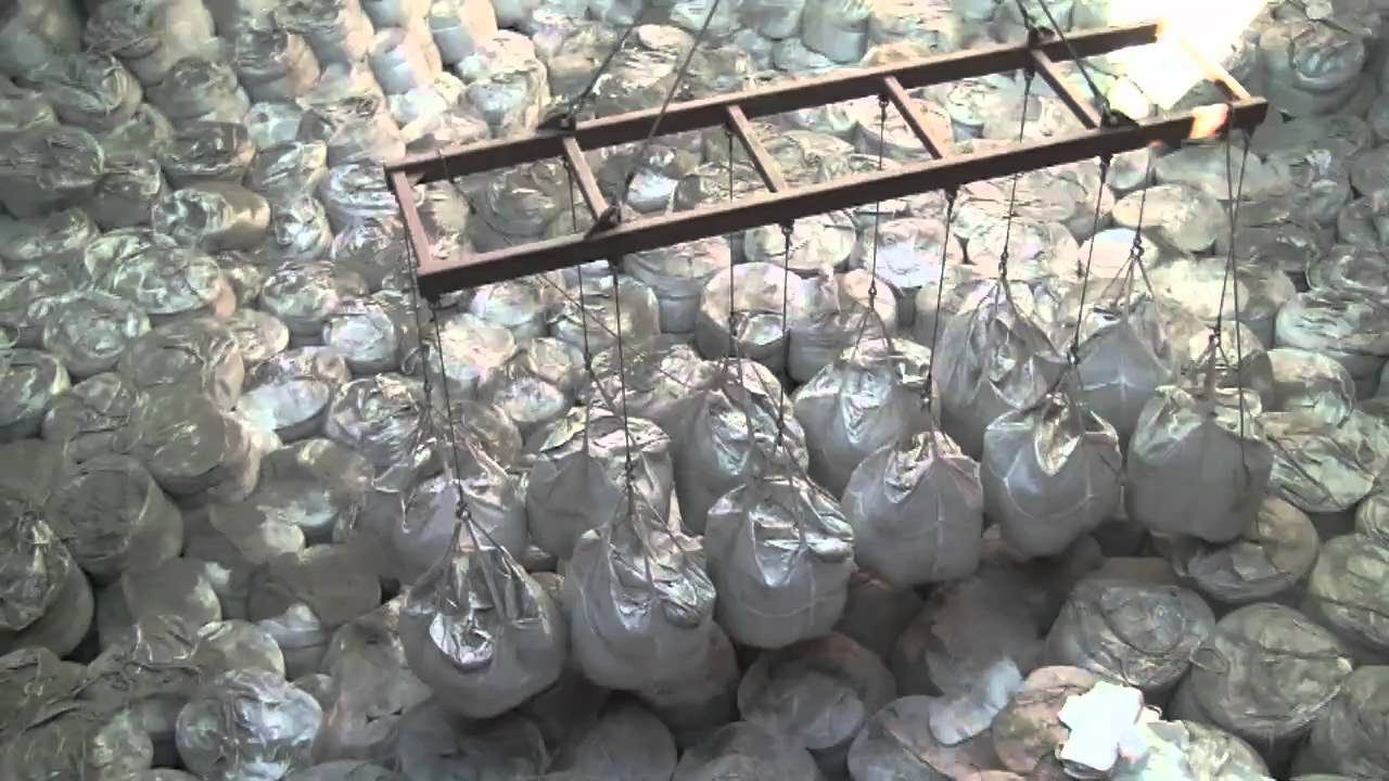 Cement at Port Mac