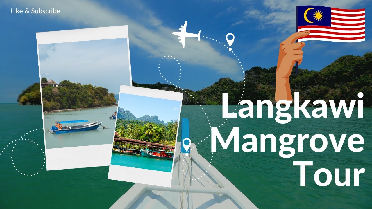 Exploring Kilim Geoforest Park in Langkawi | Monkeys, Eagles, and Mangroves | Boat Tour Experience