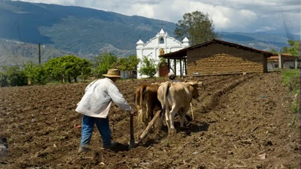 Tema 7 La crisis del campo