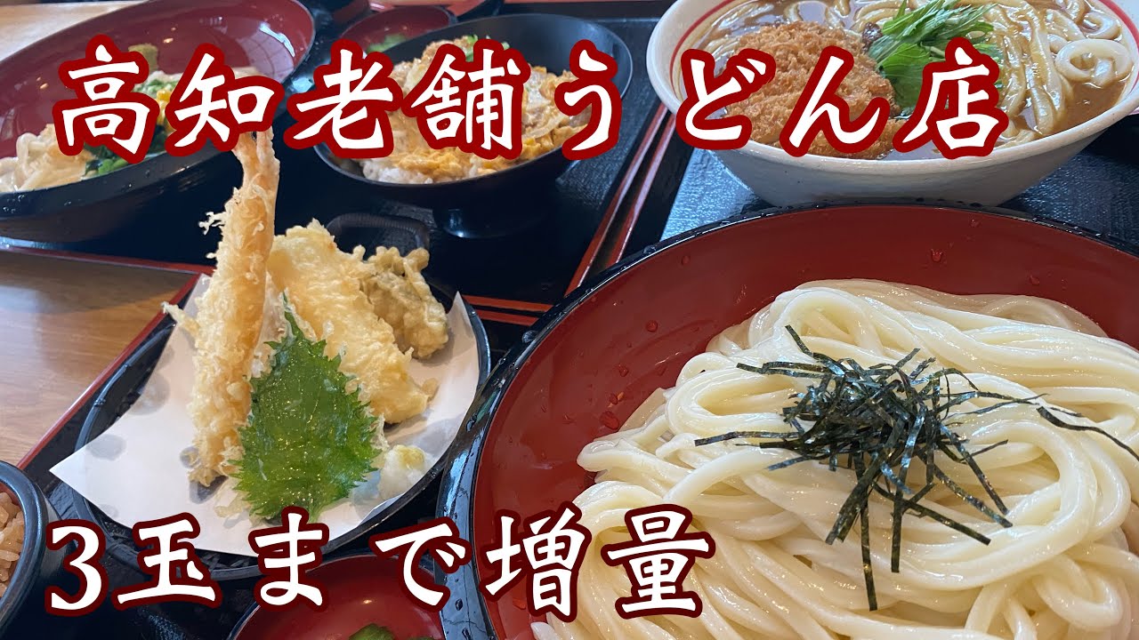【高知うどん】3玉までお値段そのまま！県民に愛される老舗店