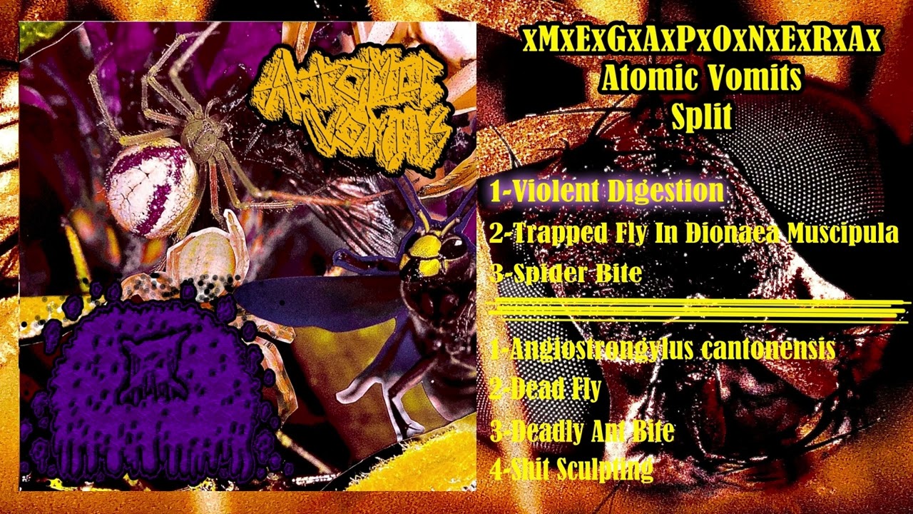xMxExGxAxPxOxNxExRxAx Split Atomic Vomits (GoreNoise)