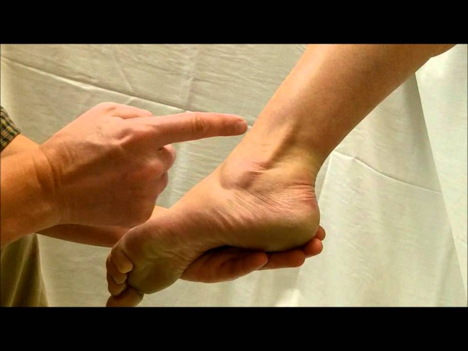 ankle foot palpation.wmv